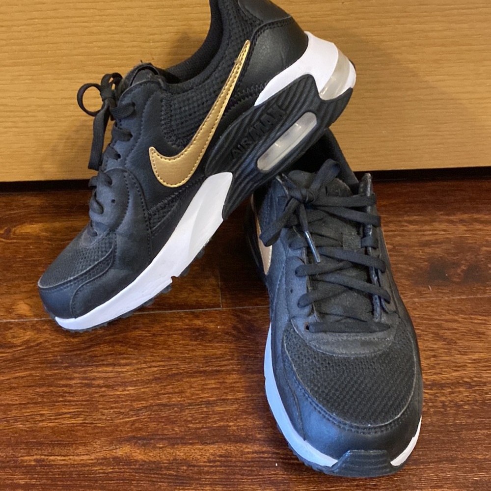 Nike Air Max Shoes
